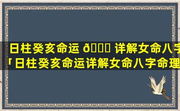 日柱癸亥命运 🍀 详解女命八字「日柱癸亥命运详解女命八字命理」